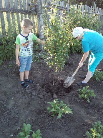 Исследовательский понедельник