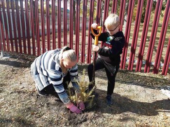 Акция "Посади дерево"